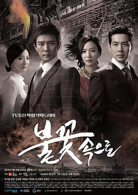 日照网站优化铭盛信息